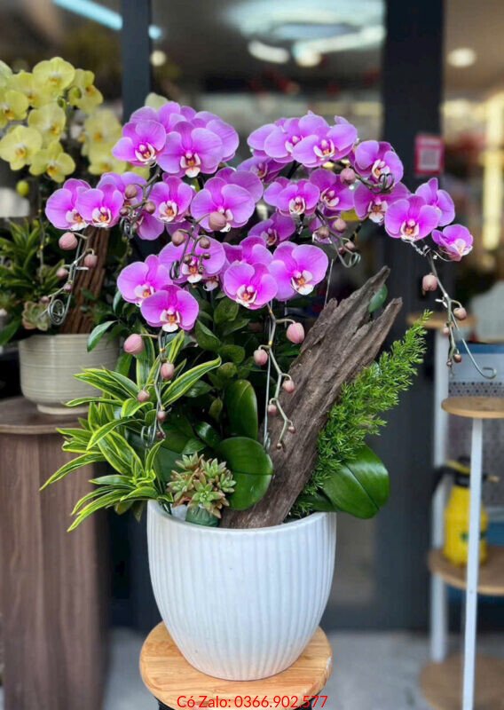 shop hoa phường thạnh mỹ tây - Giỏ hoa tươi sang trọng quà tặng sự kiện