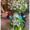 Xử lý hoa tươi nguyên liệu trước khi cắm tại shop hoa tươi Phường Cẩm Lệ Đà Nẵng OMNI FLORIST