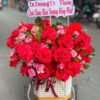 Giỏ Hoa Hạnh Phúc Tươi Đẹp - Phục Vụ 24/7, Giao Hỏa Tốc 2H