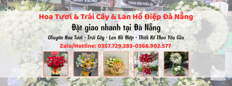 586+ Bó Hoa Đà Nẵng – Hoa Tươi Đẹp, Nhiều Mẫu, Giao Tận Nơi