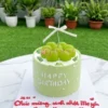 Bánh Kem Quận 6 Hồ Chí Minh - Đặt Bánh Sinh Nhật & Sự Kiện Giao 2H