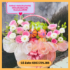 Shop trái cây Phường An Khê Đà Nẵng