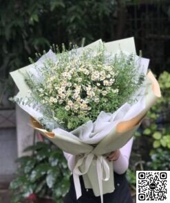 Bó Hoa Cúc Tana Tươi Trái Mùa Xinh Xắn