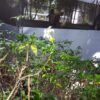 kệ hoa tang lễ - Mẫu kệ hoa chia buồn dáng xòe nghệ thuật sang trọng